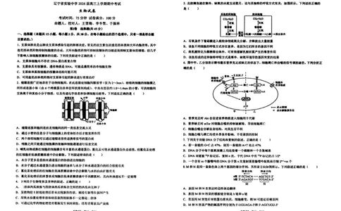 生物试卷-辽宁省实验中学2026届高三上学期期中考试_251114辽宁省实验中学2026届高三上学期期中考试（全科）
