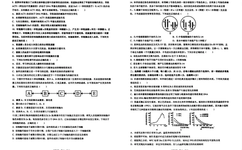 生物试卷-辽宁省实验中学2026届高三上学期期中考试_251114辽宁省实验中学2026届高三上学期期中考试（全科）
