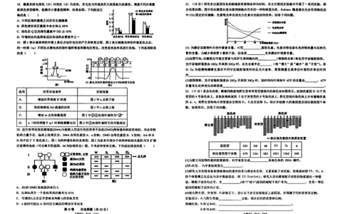 生物试卷-辽宁省实验中学2026届高三上学期期中考试_251114辽宁省实验中学2026届高三上学期期中考试（全科）