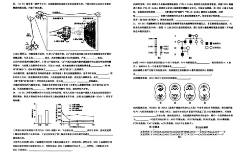 生物试卷-辽宁省实验中学2026届高三上学期期中考试_251114辽宁省实验中学2026届高三上学期期中考试（全科）