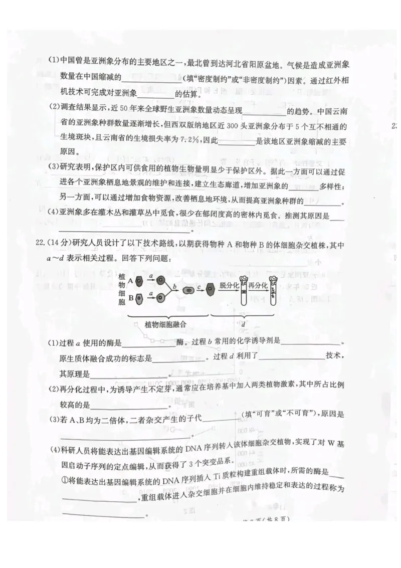 河北省省级联测2024-2025学年高二下学期6月期末考试生物（含答案）_2025年6月_250620河北省省级联测2024-2025学年高二下学期6月期末考试（全科）