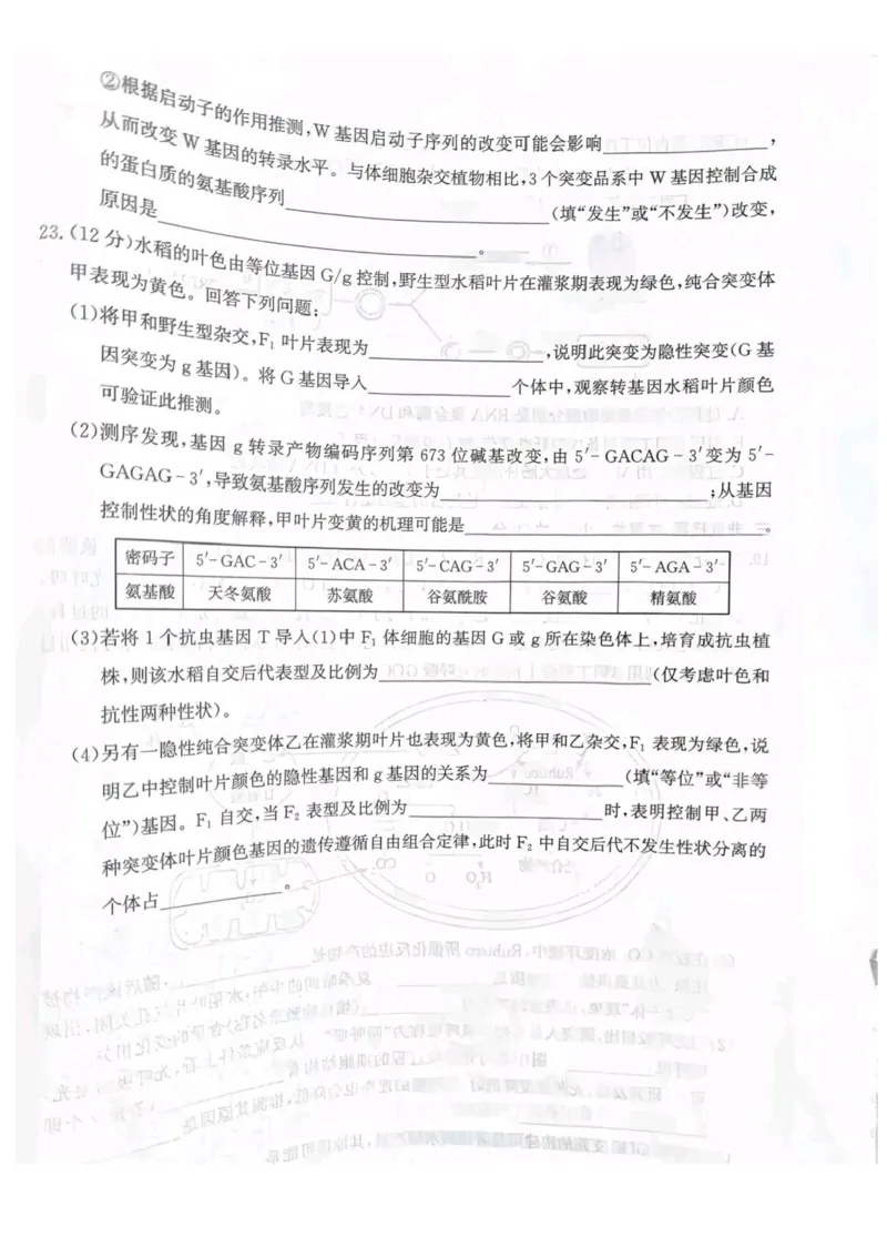 河北省省级联测2024-2025学年高二下学期6月期末考试生物（含答案）_2025年6月_250620河北省省级联测2024-2025学年高二下学期6月期末考试（全科）