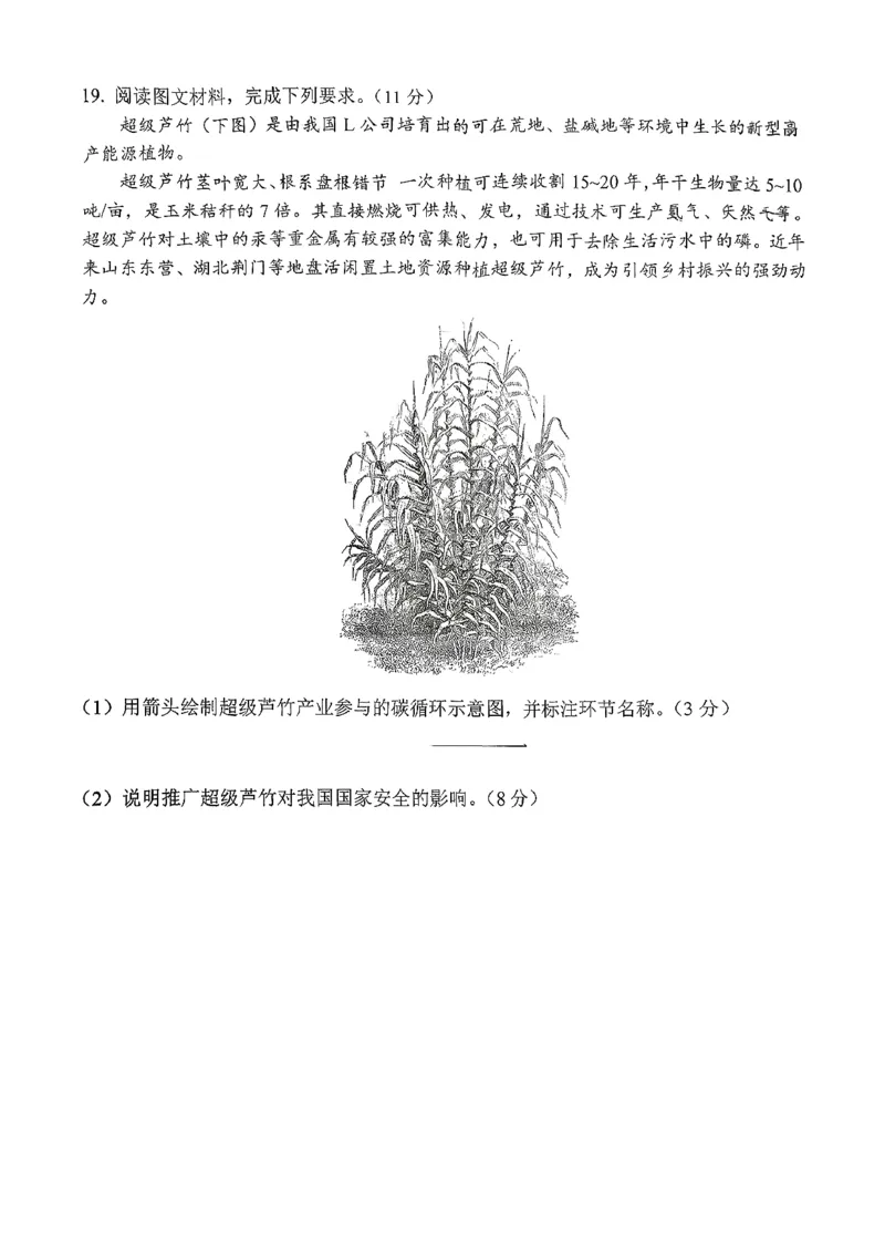 日照地理试题_2025年12月_251202山东省日照市2026届校际联考高三上学期期中考试（全科）_试卷