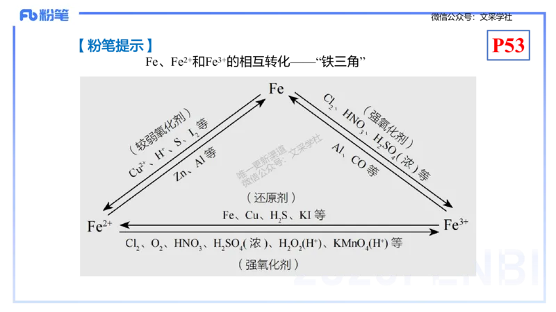 理论精讲06-元素化合物2-岳筱涵_4-教培资料-26年最新资料-同步更新_初中高中教资_03科三专项（进去保存报考的学科即可）_01科目三FB网课、三色速记手册、知识点导图等推荐