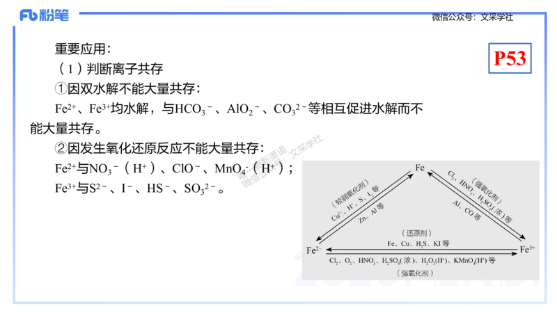 理论精讲06-元素化合物2-岳筱涵_4-教培资料-26年最新资料-同步更新_初中高中教资_03科三专项（进去保存报考的学科即可）_01科目三FB网课、三色速记手册、知识点导图等推荐