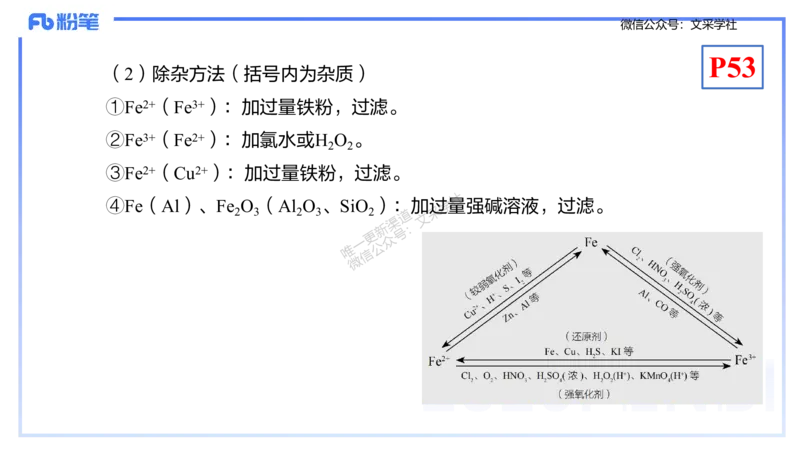 理论精讲06-元素化合物2-岳筱涵_4-教培资料-26年最新资料-同步更新_初中高中教资_03科三专项（进去保存报考的学科即可）_01科目三FB网课、三色速记手册、知识点导图等推荐