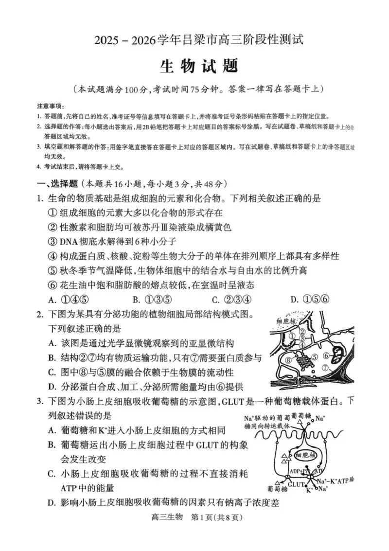 山西省吕梁市2025-2026学年高三上学期阶段性测试生物试题（含答案）_251102山西省吕梁市2025-2026学年高三上学期阶段性测试（全科）