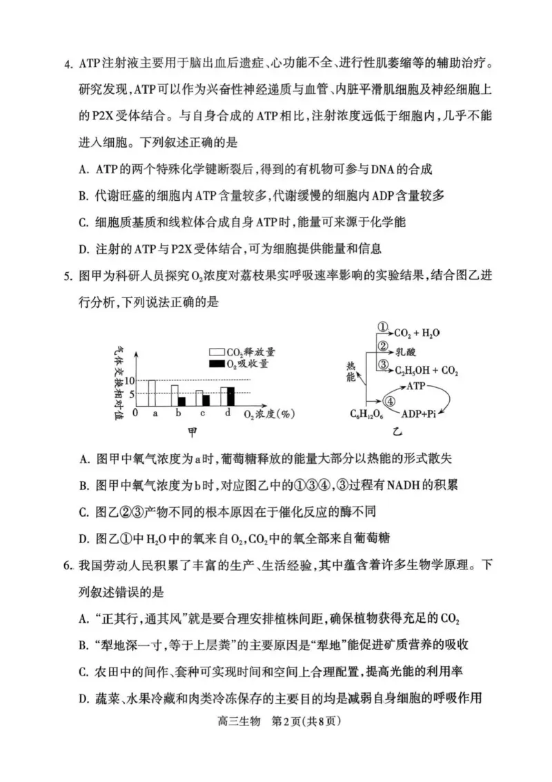 山西省吕梁市2025-2026学年高三上学期阶段性测试生物试题（含答案）_251102山西省吕梁市2025-2026学年高三上学期阶段性测试（全科）