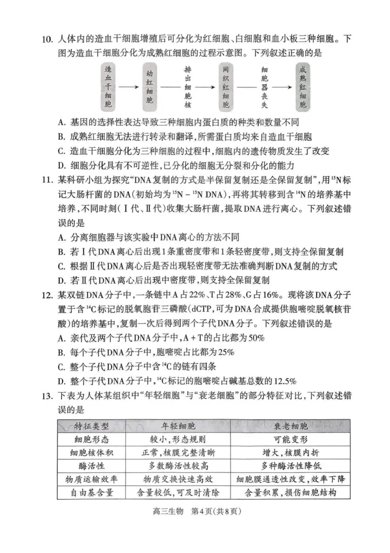 山西省吕梁市2025-2026学年高三上学期阶段性测试生物试题（含答案）_251102山西省吕梁市2025-2026学年高三上学期阶段性测试（全科）