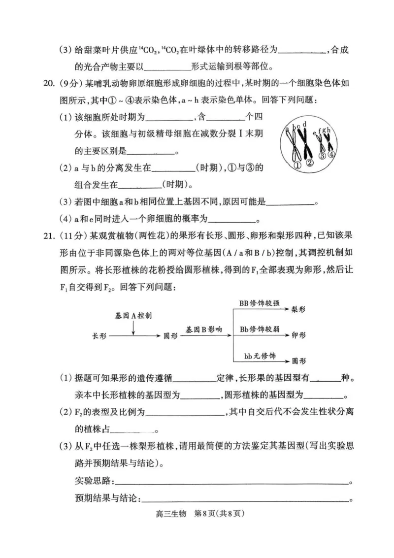 山西省吕梁市2025-2026学年高三上学期阶段性测试生物试题（含答案）_251102山西省吕梁市2025-2026学年高三上学期阶段性测试（全科）