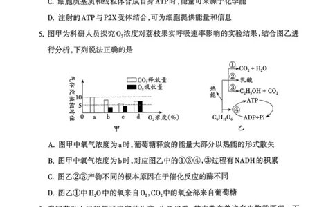 山西省吕梁市2025-2026学年高三上学期阶段性测试生物试题（含答案）_251102山西省吕梁市2025-2026学年高三上学期阶段性测试（全科）