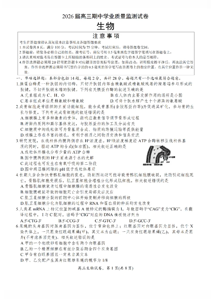江苏省南通市海安市2026届高三年级上学期期中学业质量监测生物试卷（含答案）_251123江苏省南通市海安市2026届高三年级上学期期中学业质量监测（全科）