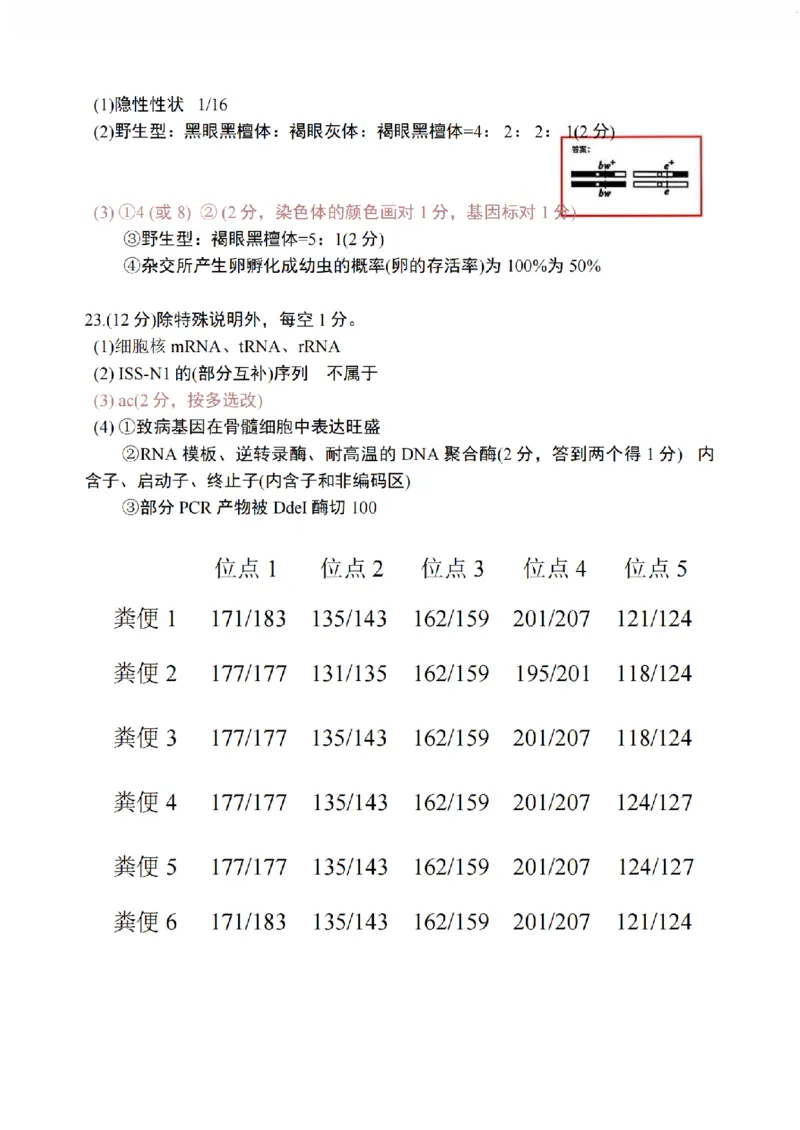 江苏省南通市海安市2026届高三年级上学期期中学业质量监测生物试卷（含答案）_251123江苏省南通市海安市2026届高三年级上学期期中学业质量监测（全科）