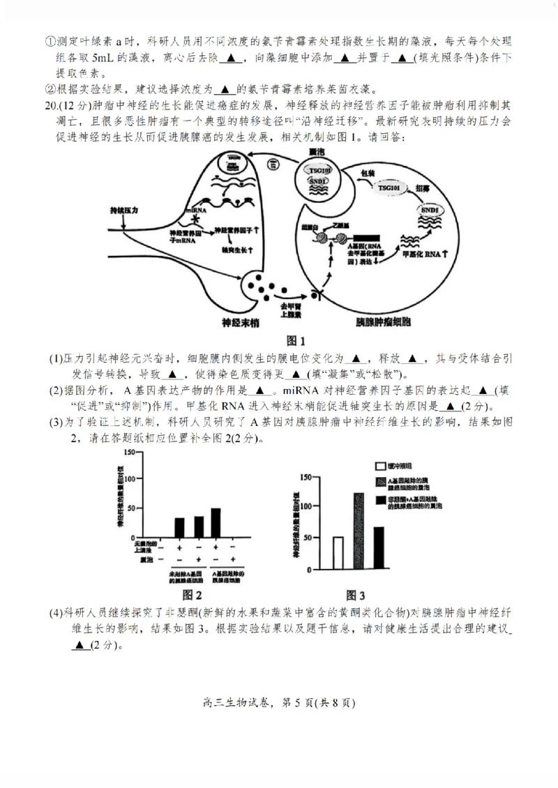 江苏省南通市海安市2026届高三年级上学期期中学业质量监测生物试卷（含答案）_251123江苏省南通市海安市2026届高三年级上学期期中学业质量监测（全科）