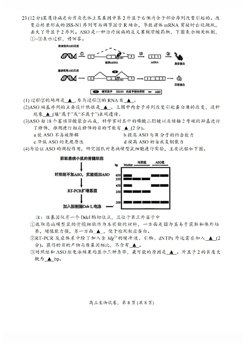 江苏省南通市海安市2026届高三年级上学期期中学业质量监测生物试卷（含答案）_251123江苏省南通市海安市2026届高三年级上学期期中学业质量监测（全科）
