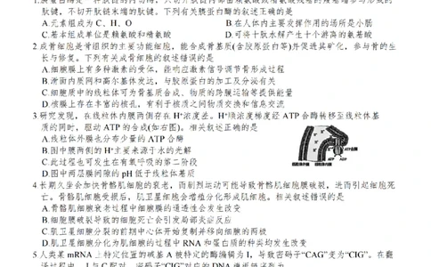 江苏省南通市海安市2026届高三年级上学期期中学业质量监测生物试卷（含答案）_251123江苏省南通市海安市2026届高三年级上学期期中学业质量监测（全科）