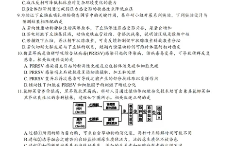 江苏省南通市海安市2026届高三年级上学期期中学业质量监测生物试卷（含答案）_251123江苏省南通市海安市2026届高三年级上学期期中学业质量监测（全科）