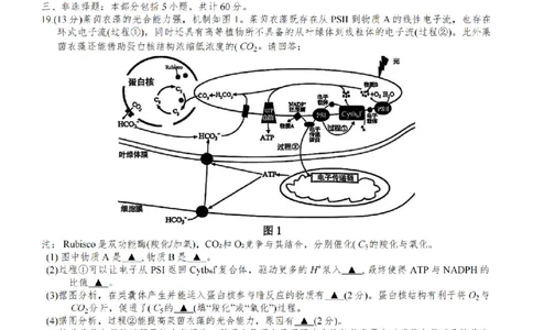 江苏省南通市海安市2026届高三年级上学期期中学业质量监测生物试卷（含答案）_251123江苏省南通市海安市2026届高三年级上学期期中学业质量监测（全科）