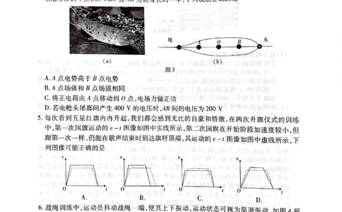 2024届广东省茂名市高三上学期一模物理试题_2024年1月_01每日更新_28号_2024届广东省茂名市高三年级第一次综合测试（茂名一模）