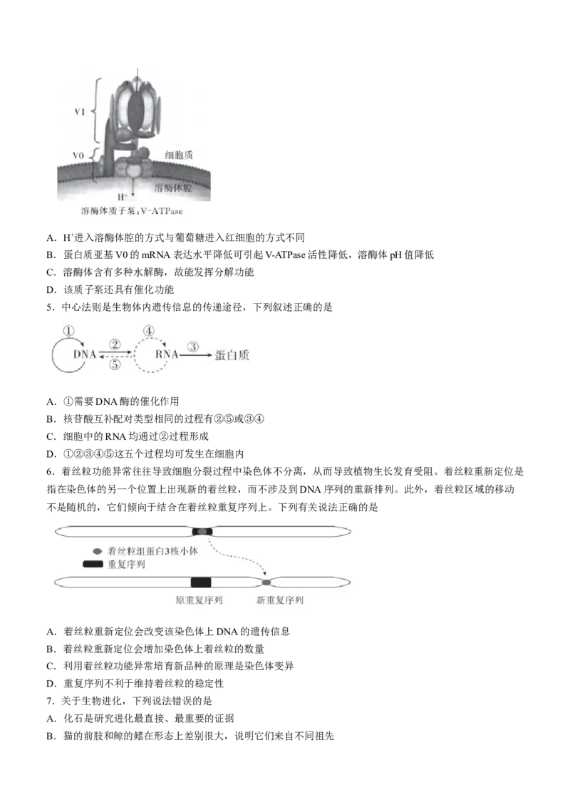 2024届河北省高三大数据应用调研联合测评(Ⅳ)生物(1)_2024年1月_021月合集_2024届河北省高三大数据应用调研联合测评(Ⅳ)