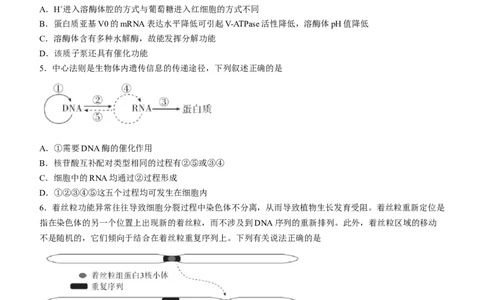 2024届河北省高三大数据应用调研联合测评(Ⅳ)生物(1)_2024年1月_021月合集_2024届河北省高三大数据应用调研联合测评(Ⅳ)