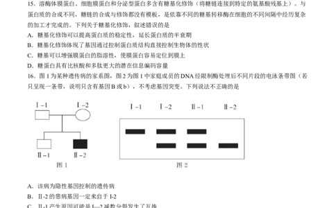 2024届河北省高三大数据应用调研联合测评(Ⅳ)生物(1)_2024年1月_021月合集_2024届河北省高三大数据应用调研联合测评(Ⅳ)