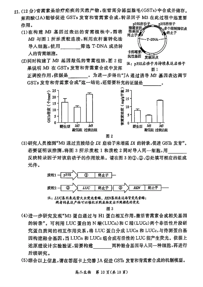 北京市东城区2024&mdash;2025学年高二下学期期末考试生物试题（含答案）_2025年7月_250728北京市东城区2024-2025学年高二下学期期末考试（全科）_0823204624