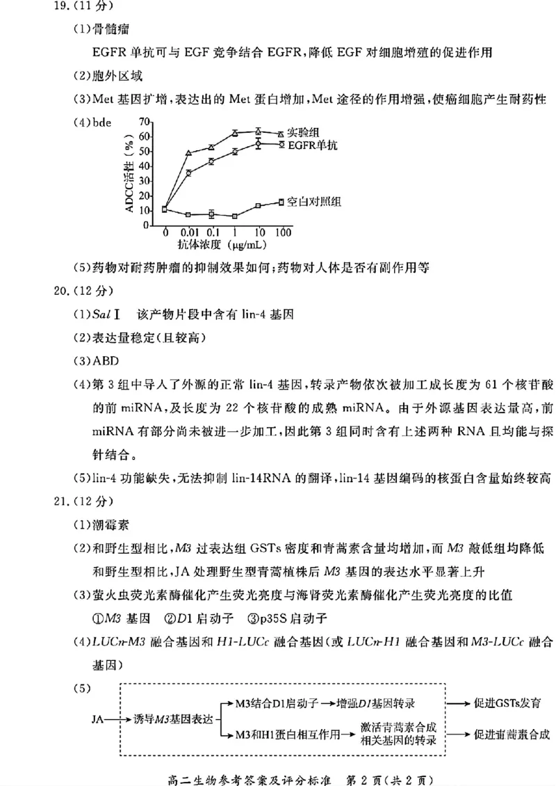 北京市东城区2024&mdash;2025学年高二下学期期末考试生物试题（含答案）_2025年7月_250728北京市东城区2024-2025学年高二下学期期末考试（全科）_0823204624
