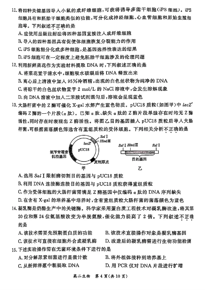 北京市东城区2024&mdash;2025学年高二下学期期末考试生物试题（含答案）_2025年7月_250728北京市东城区2024-2025学年高二下学期期末考试（全科）_0823204624