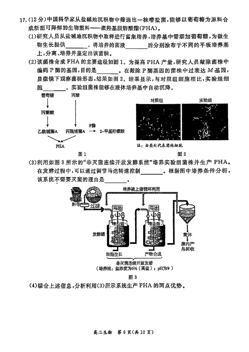 北京市东城区2024&mdash;2025学年高二下学期期末考试生物试题（含答案）_2025年7月_250728北京市东城区2024-2025学年高二下学期期末考试（全科）_0823204624
