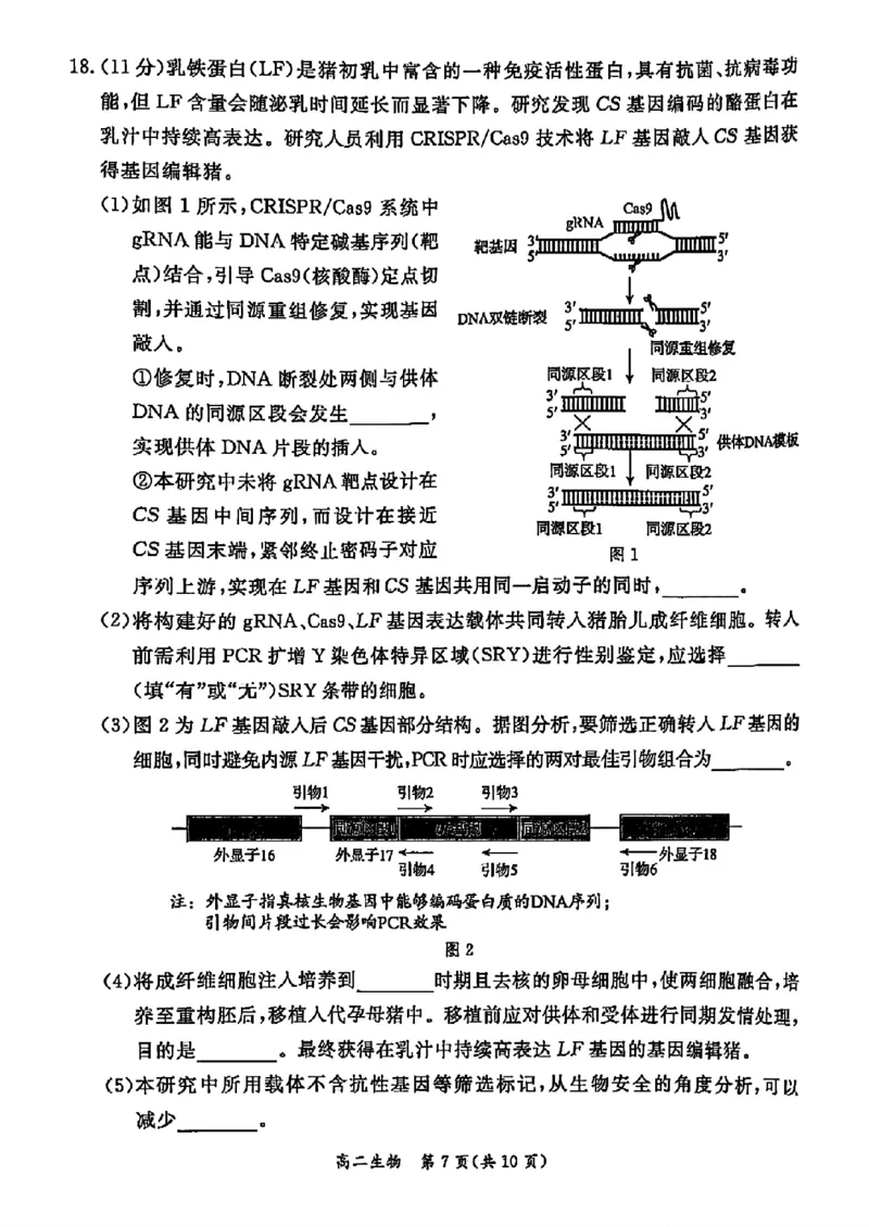 北京市东城区2024&mdash;2025学年高二下学期期末考试生物试题（含答案）_2025年7月_250728北京市东城区2024-2025学年高二下学期期末考试（全科）_0823204624