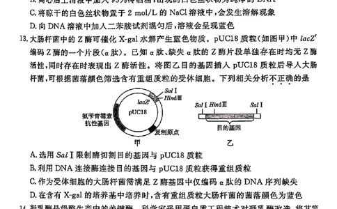 北京市东城区2024&mdash;2025学年高二下学期期末考试生物试题（含答案）_2025年7月_250728北京市东城区2024-2025学年高二下学期期末考试（全科）_0823204624