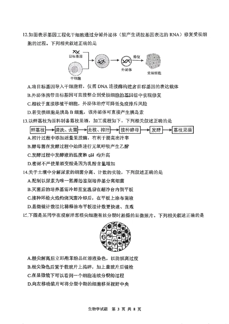 江苏省徐州市2025-2026学年高三上学期期中抽测生物试题（含答案）_251108江苏省徐州市2025-2026学年高三上学期11月期中
