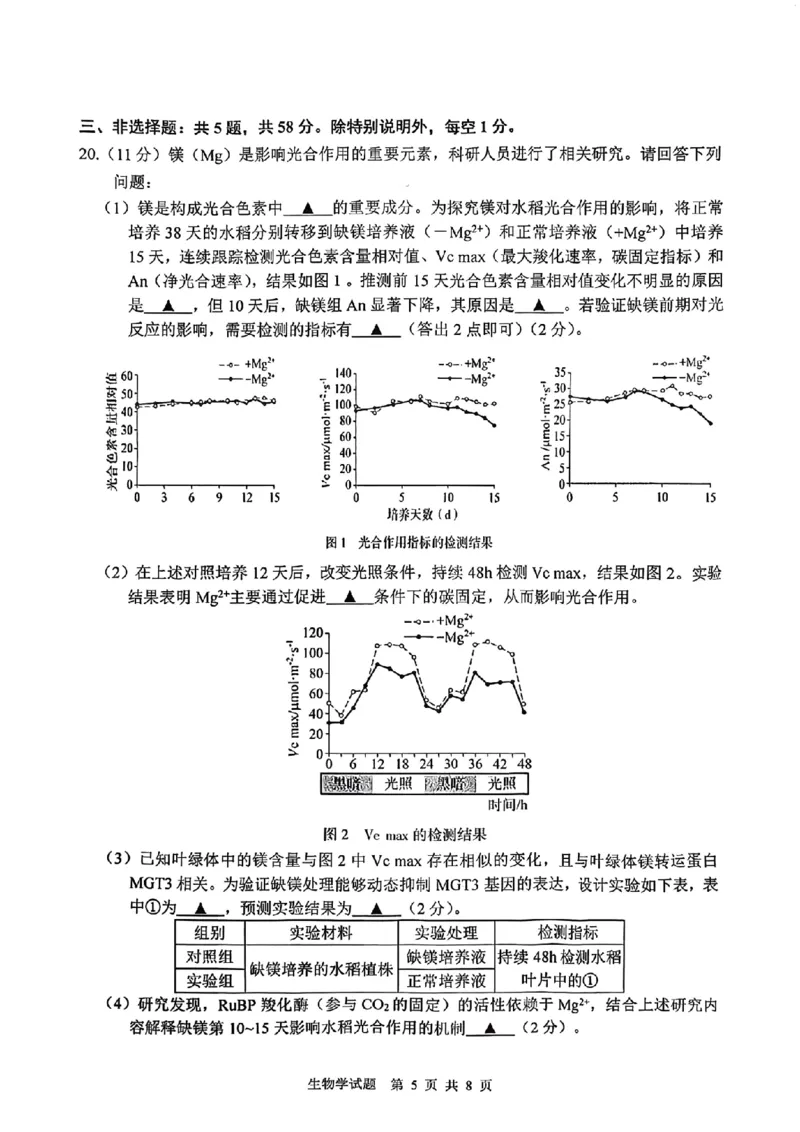 江苏省徐州市2025-2026学年高三上学期期中抽测生物试题（含答案）_251108江苏省徐州市2025-2026学年高三上学期11月期中