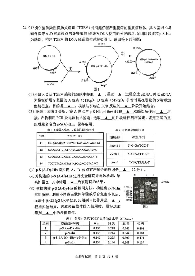 江苏省徐州市2025-2026学年高三上学期期中抽测生物试题（含答案）_251108江苏省徐州市2025-2026学年高三上学期11月期中