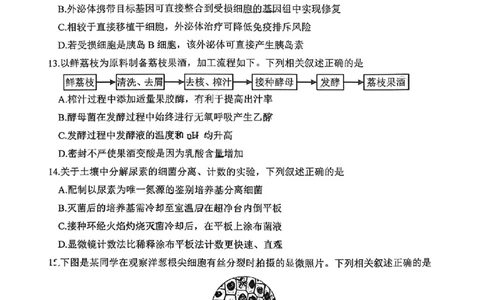 江苏省徐州市2025-2026学年高三上学期期中抽测生物试题（含答案）_251108江苏省徐州市2025-2026学年高三上学期11月期中