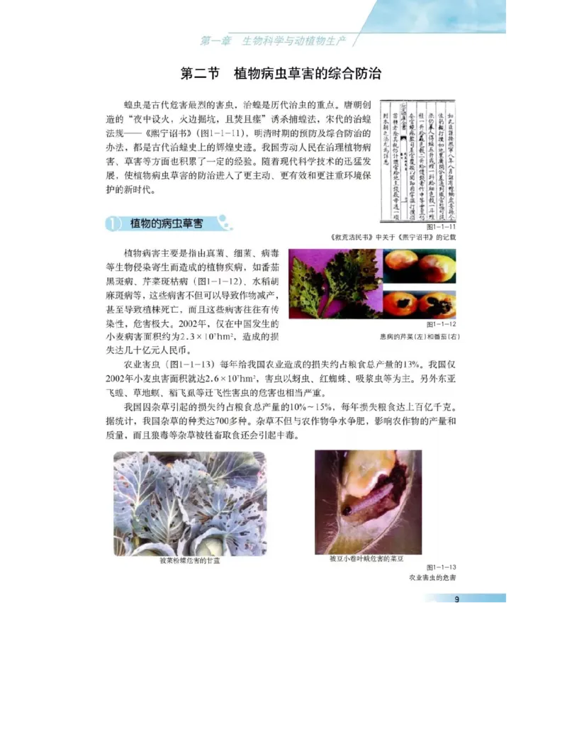 沪科版高中生物选修2《生物科学与社会》电子课本_4-教培资料-26年最新资料-同步更新_初中高中教资_03科三专项（进去保存报考的学科即可）_112025高中科目（全）电子教材