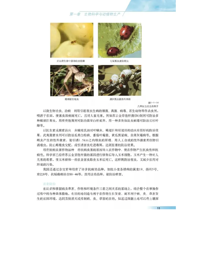 沪科版高中生物选修2《生物科学与社会》电子课本_4-教培资料-26年最新资料-同步更新_初中高中教资_03科三专项（进去保存报考的学科即可）_112025高中科目（全）电子教材