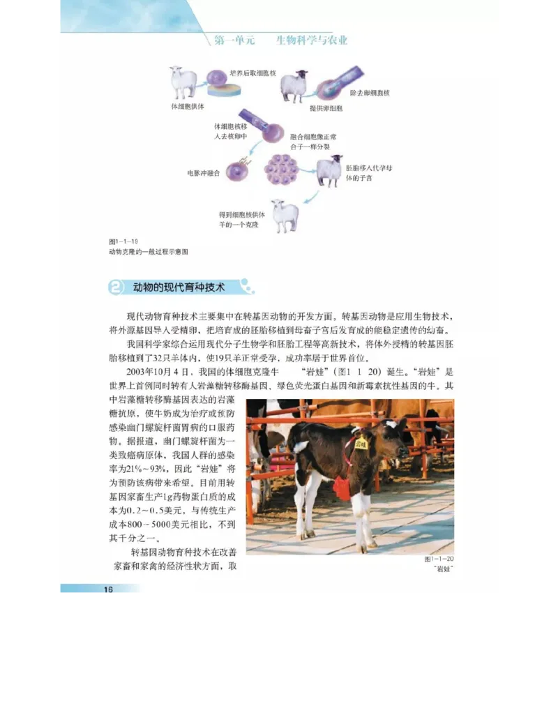 沪科版高中生物选修2《生物科学与社会》电子课本_4-教培资料-26年最新资料-同步更新_初中高中教资_03科三专项（进去保存报考的学科即可）_112025高中科目（全）电子教材