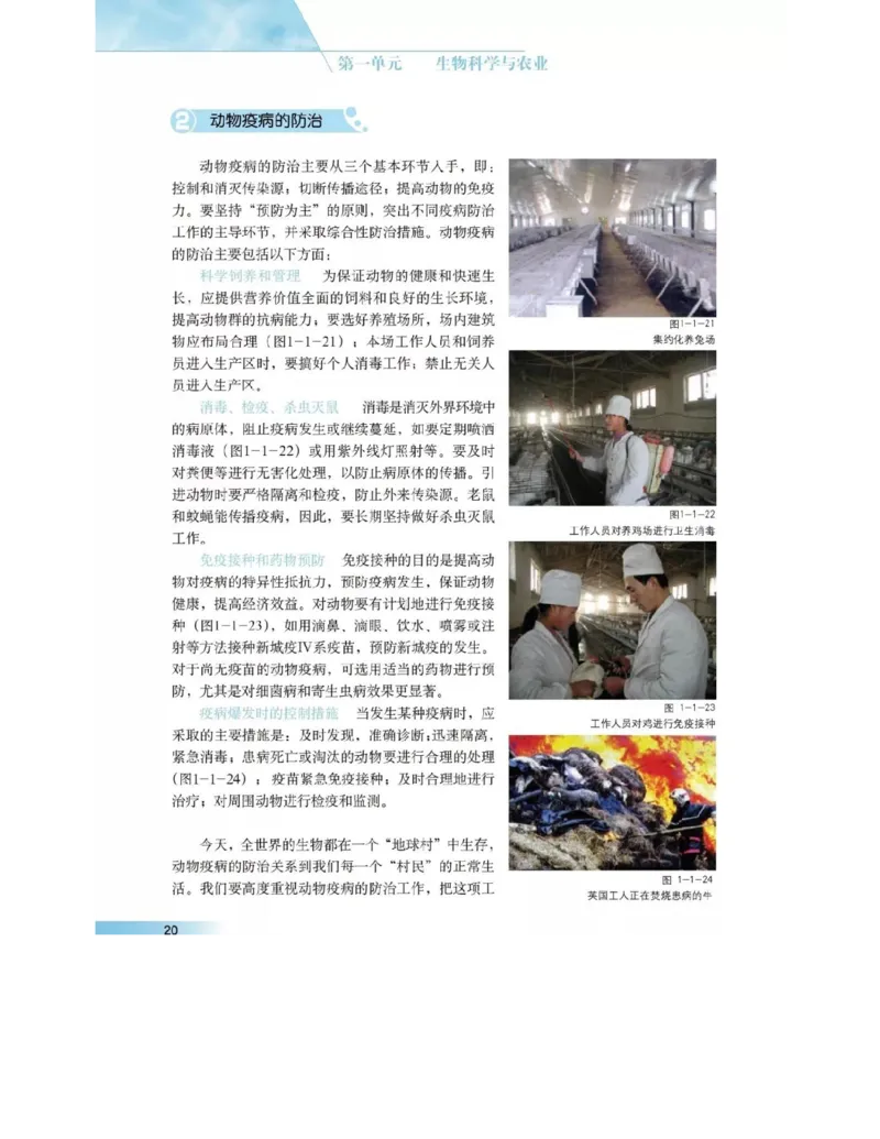 沪科版高中生物选修2《生物科学与社会》电子课本_4-教培资料-26年最新资料-同步更新_初中高中教资_03科三专项（进去保存报考的学科即可）_112025高中科目（全）电子教材