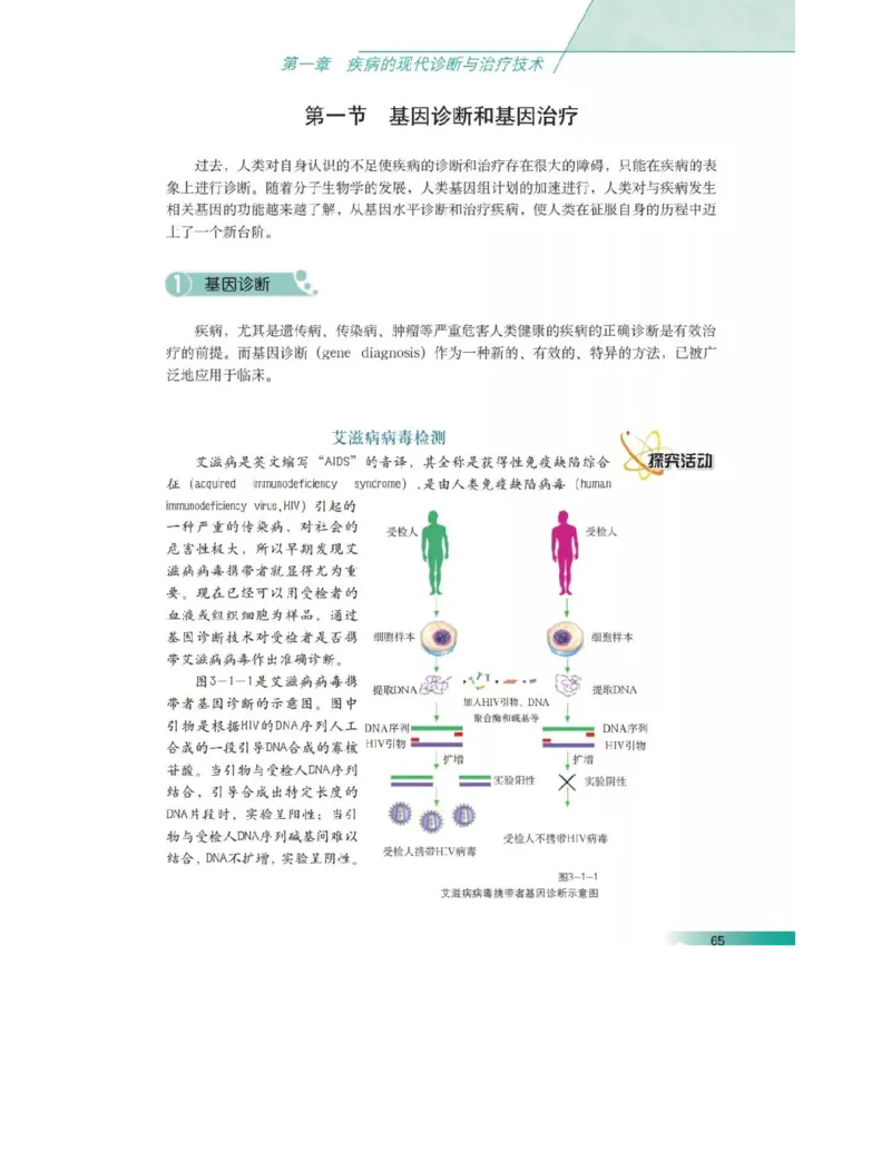 沪科版高中生物选修2《生物科学与社会》电子课本_4-教培资料-26年最新资料-同步更新_初中高中教资_03科三专项（进去保存报考的学科即可）_112025高中科目（全）电子教材
