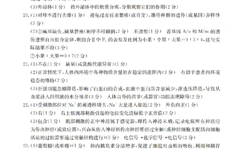 河北省2026届高三年级上学期期中考试（26-111C）生物答案_2025年12月_251210金太阳&middot;河北省2026届高三年级上学期期中考试（26-111C）（全科）