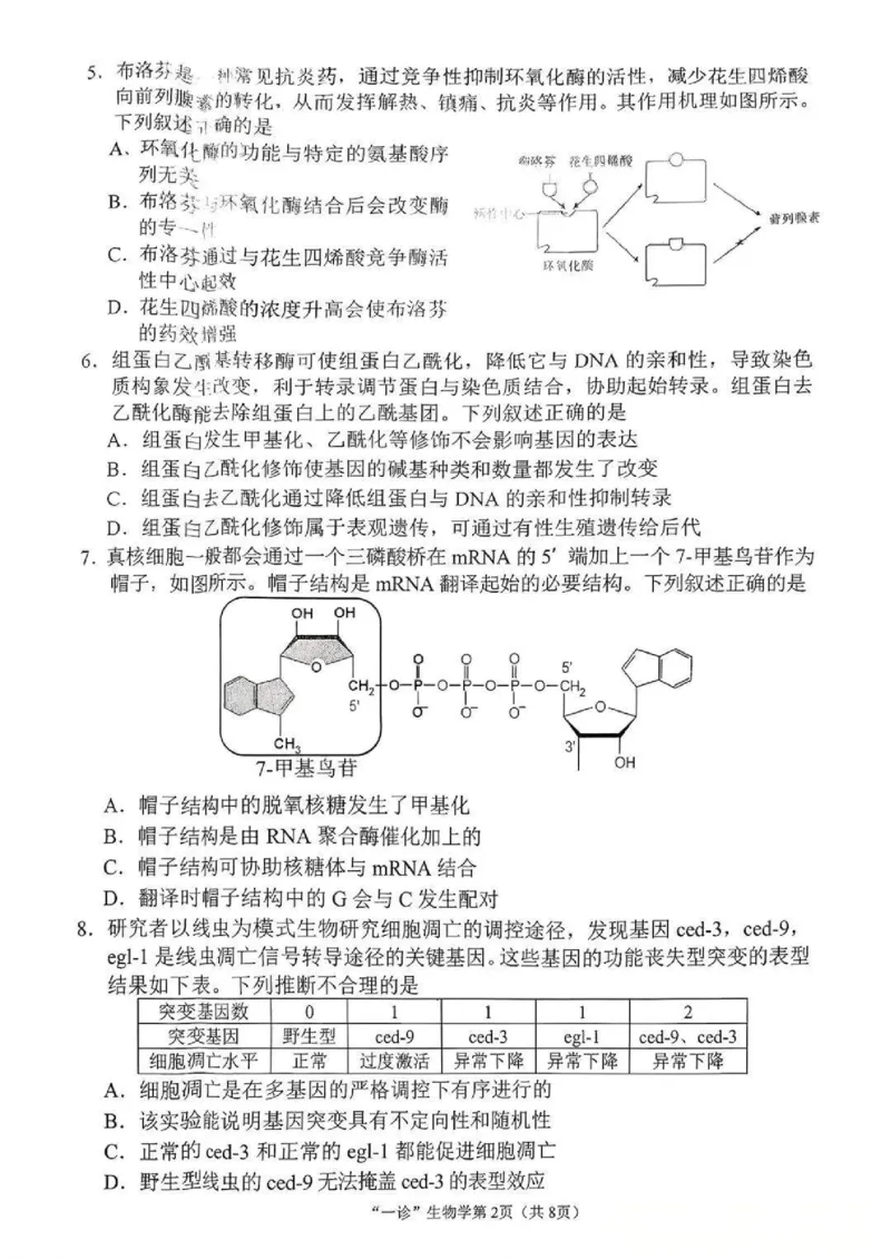 南充市高2026届高考适应性考试（一诊）生物试卷_251127四川省南充市高2026届高考适应性考试（一诊）（全科）