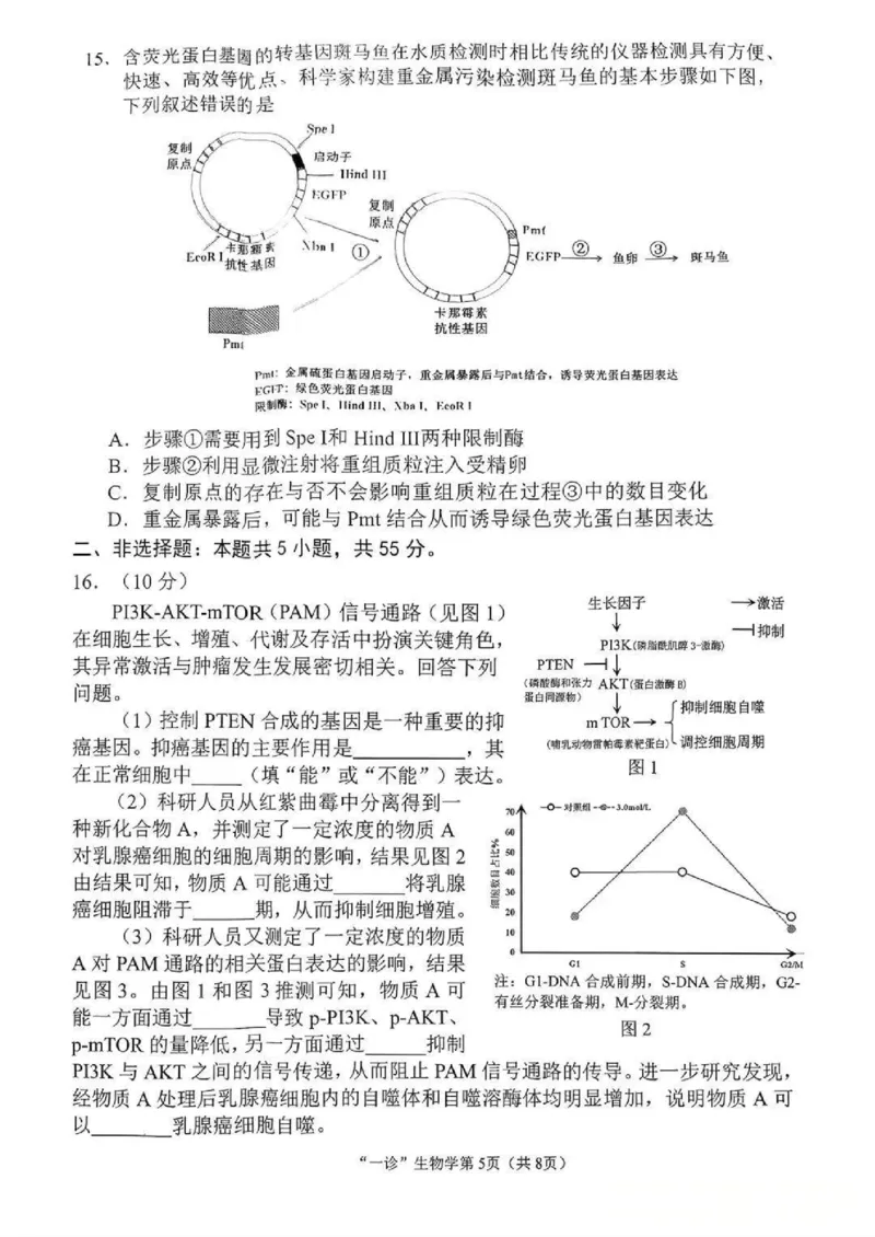 南充市高2026届高考适应性考试（一诊）生物试卷_251127四川省南充市高2026届高考适应性考试（一诊）（全科）