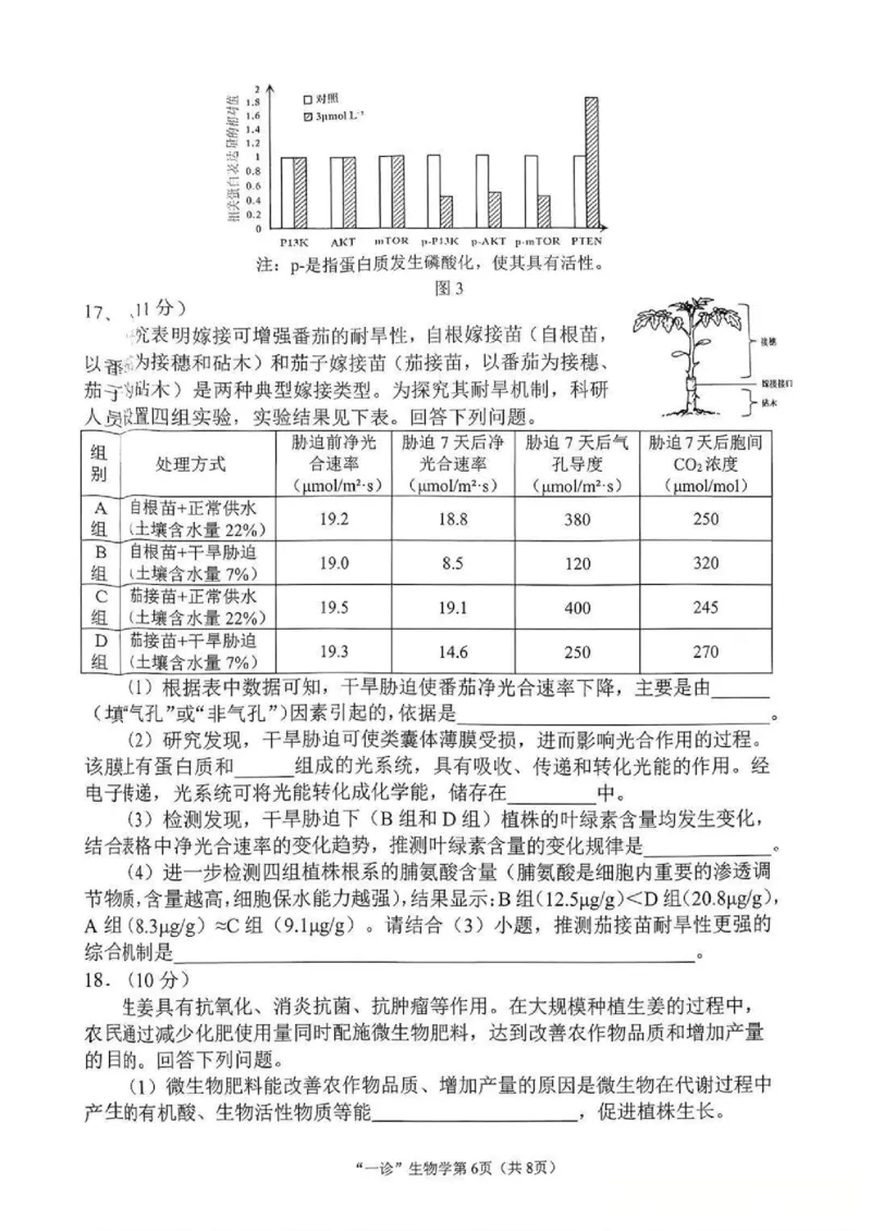 南充市高2026届高考适应性考试（一诊）生物试卷_251127四川省南充市高2026届高考适应性考试（一诊）（全科）