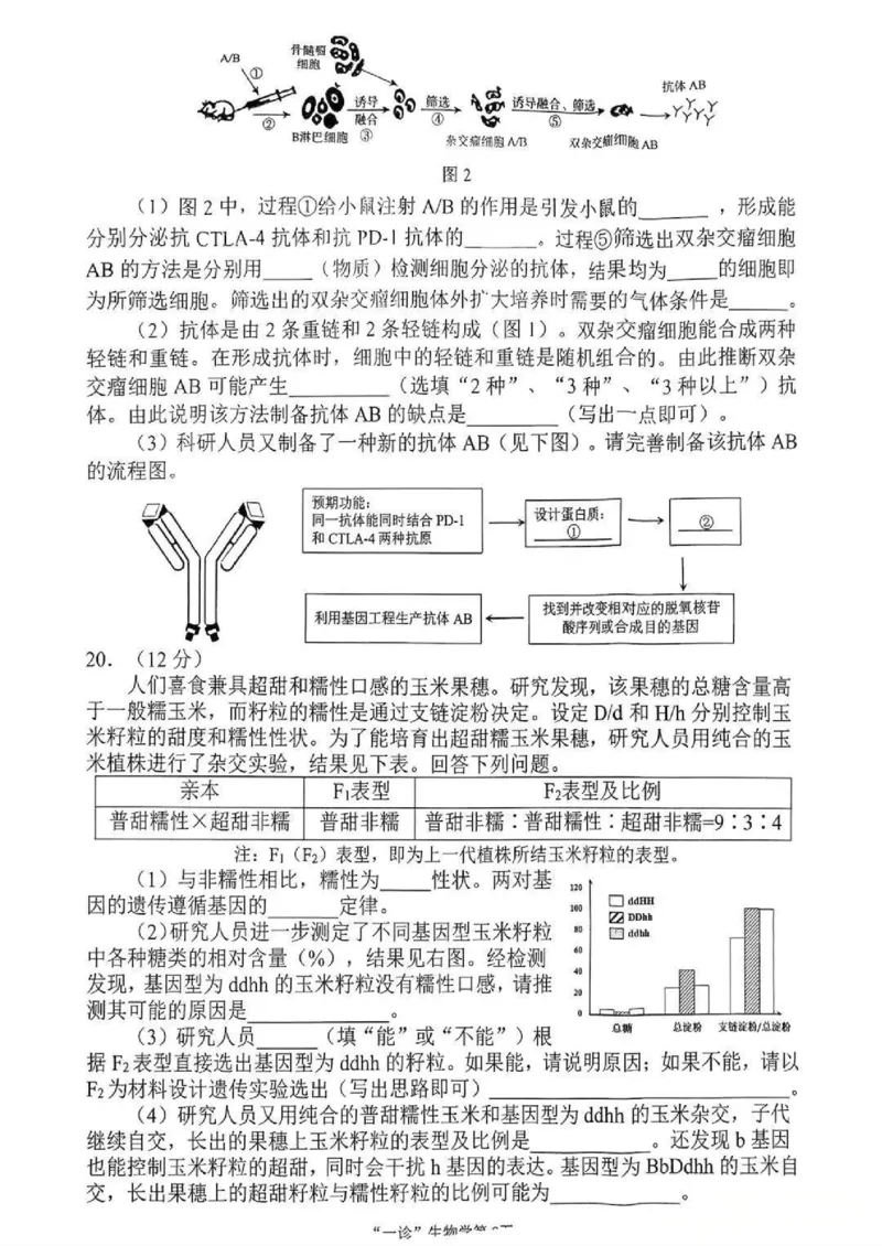 南充市高2026届高考适应性考试（一诊）生物试卷_251127四川省南充市高2026届高考适应性考试（一诊）（全科）