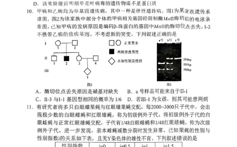 南充市高2026届高考适应性考试（一诊）生物试卷_251127四川省南充市高2026届高考适应性考试（一诊）（全科）