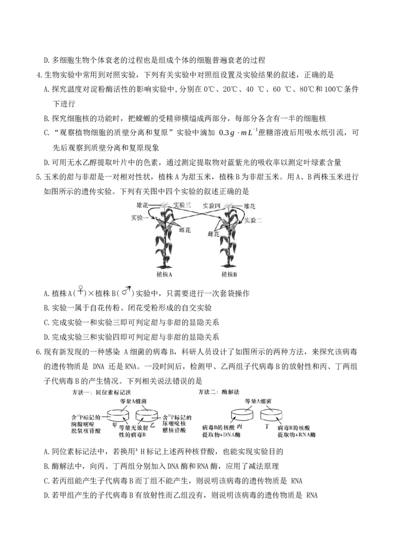 生物试卷（26长郡三）_251104湖南省长沙市长郡中学2026届高三上学期月考（三）（全科）_湖南省长沙市长郡中学2026届高三上学期月考（三）生物试题（含答案）