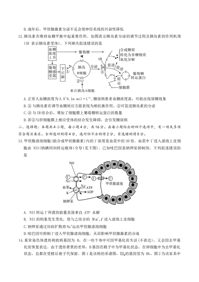 生物试卷（26长郡三）_251104湖南省长沙市长郡中学2026届高三上学期月考（三）（全科）_湖南省长沙市长郡中学2026届高三上学期月考（三）生物试题（含答案）