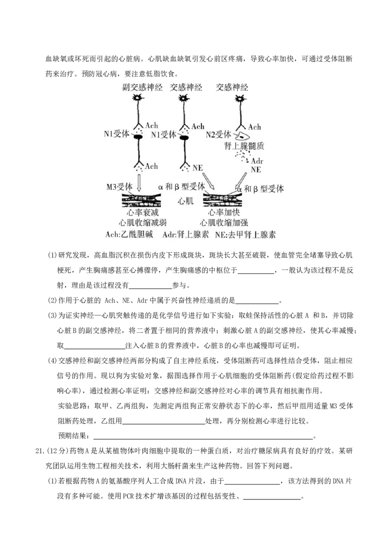 生物试卷（26长郡三）_251104湖南省长沙市长郡中学2026届高三上学期月考（三）（全科）_湖南省长沙市长郡中学2026届高三上学期月考（三）生物试题（含答案）